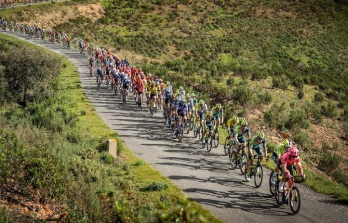 Cycling. Tour of the Algarve – Seven teams confirmed for 2025… including one French