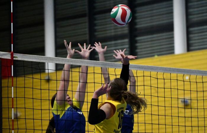 VOLLEYBALL: Only the men of Le Creusot won… The women lost everything…