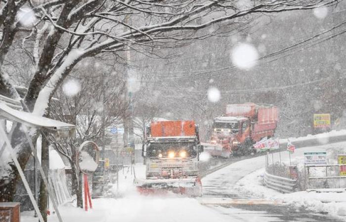 Heavy snow turns Korea into winter wonderland — in pictures