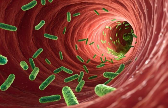 Is it true that there are more microbes than cells in the human body? ????