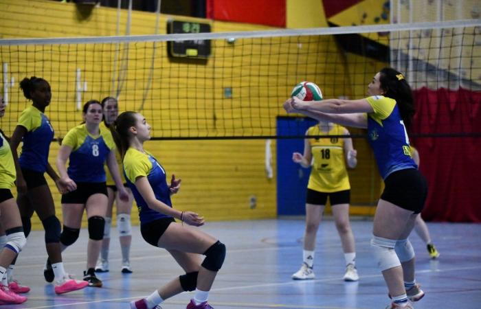 VOLLEYBALL: Only the men of Le Creusot won… The women lost everything…