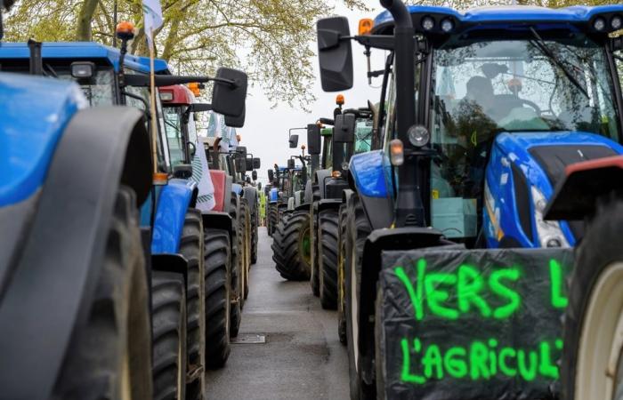 Record mobilization of farmers in Tarn-et-Garonne