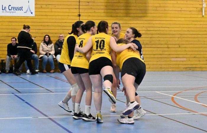 VOLLEYBALL: Only the men of Le Creusot won… The women lost everything…