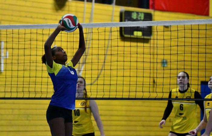 VOLLEYBALL: Only the men of Le Creusot won… The women lost everything…