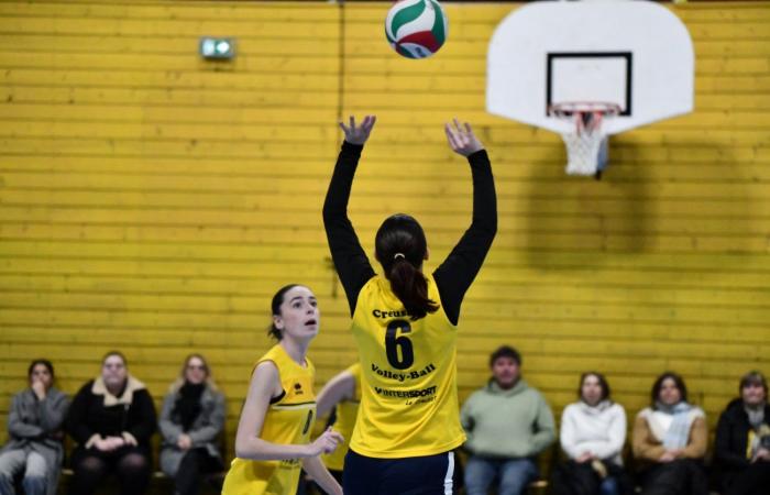 VOLLEYBALL: Only the men of Le Creusot won… The women lost everything…