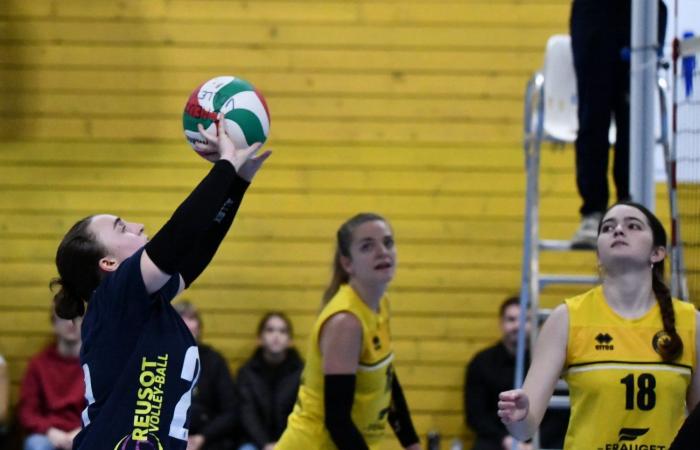 VOLLEYBALL: Only the men of Le Creusot won… The women lost everything…