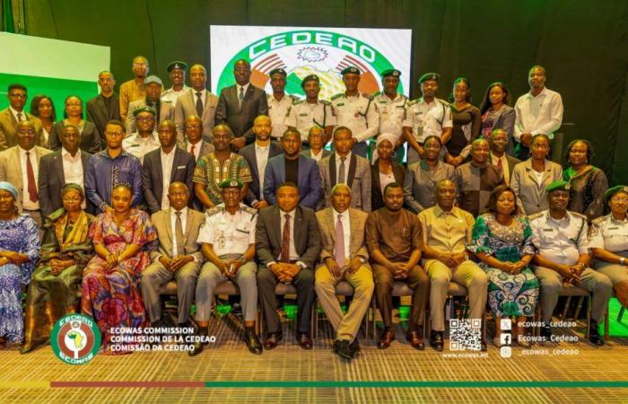 ECOWAS: digitalization to boost intra-regional trade | APAnews