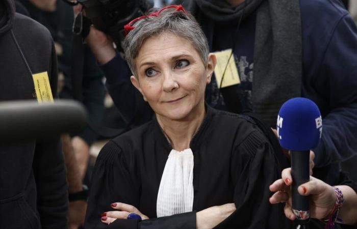 Béatrice Zavarro, lawyer determined to defend Dominique Pelicot