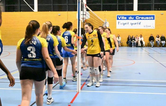 VOLLEYBALL: Only the men of Le Creusot won… The women lost everything…