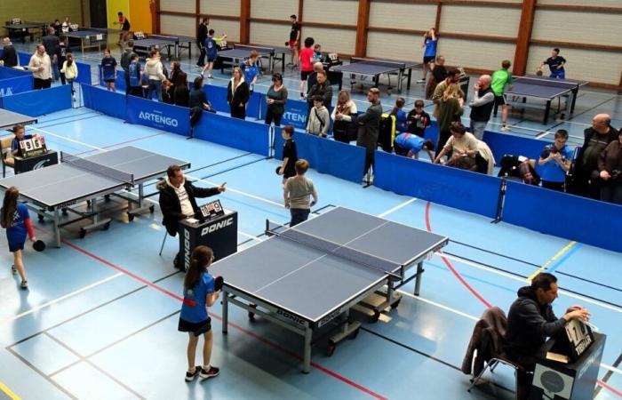 Thanks to the Lebrun brothers, table tennis is attracting a lot of attention in the Channel