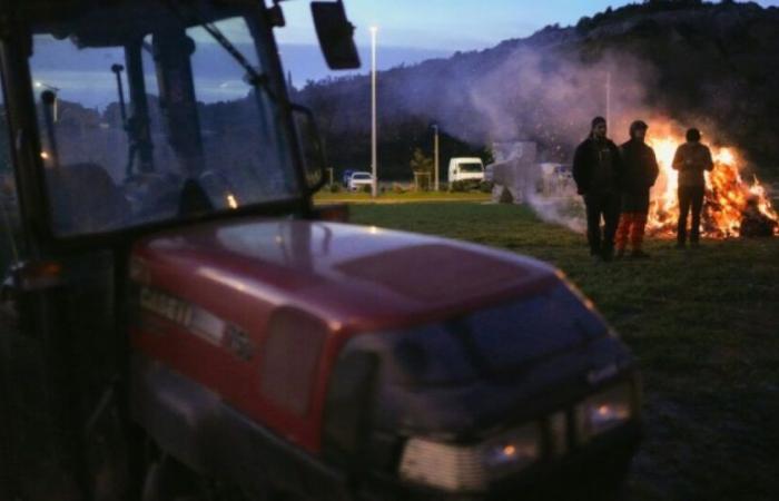 Agricultural mobilization: a Danone site blocked in the Gers: News