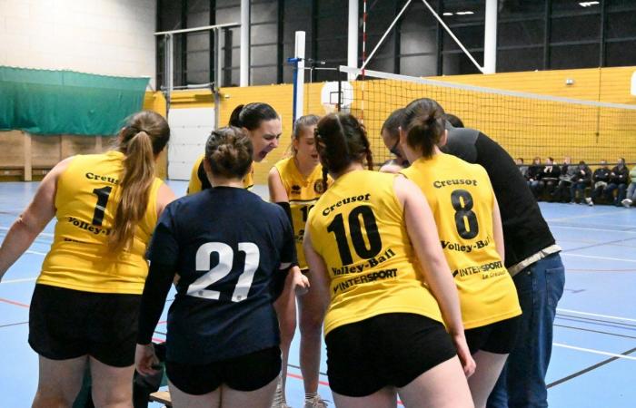 VOLLEYBALL: Only the men of Le Creusot won… The women lost everything…