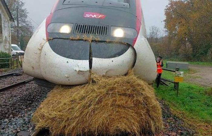 A TGV hits a bale of straw, traffic interrupted between Nantes and Le Croisic