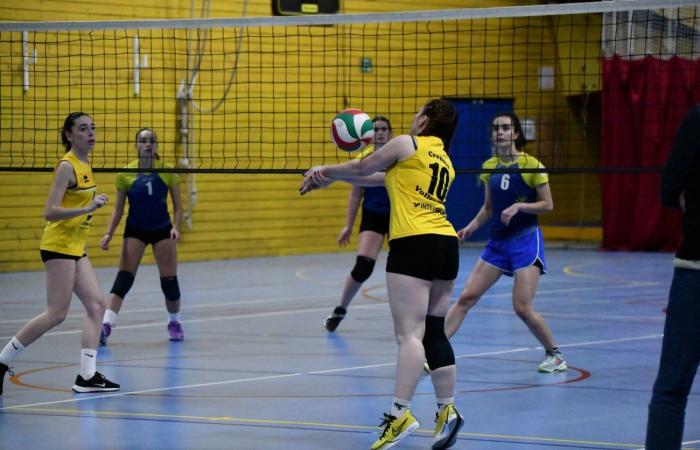 VOLLEYBALL: Only the men of Le Creusot won… The women lost everything…