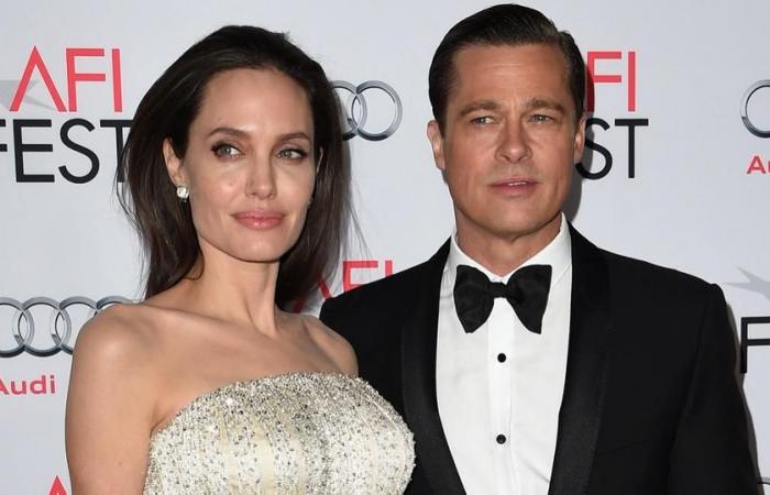 Actor Forced to Submit Hidden Documents About Alleged Domestic Abuse Against Angelina Jolie and Their Children