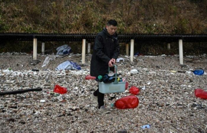 On a Chinese island, plastic waste recycled into works of art: News