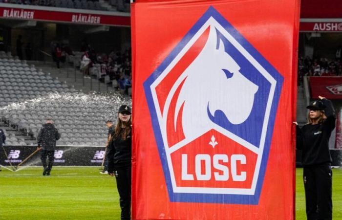 Lille “unreservedly condemns” the “cowardly and intolerable” attack by its supporters in Bologna