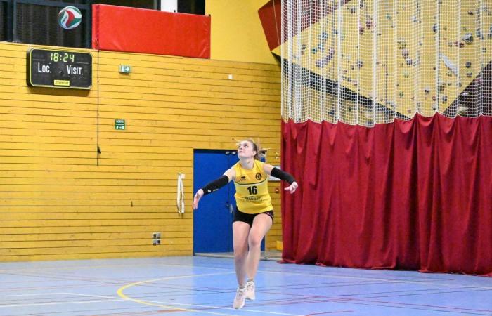 VOLLEYBALL: Only the men of Le Creusot won… The women lost everything…