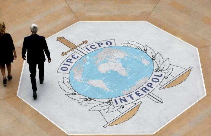 The fight against online scams reaches records at Interpol