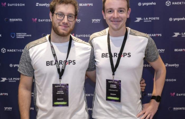 Bearops gains ground in offensive cybersecurity