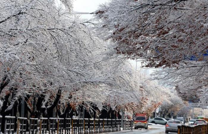 Heavy snow turns Korea into winter wonderland — in pictures