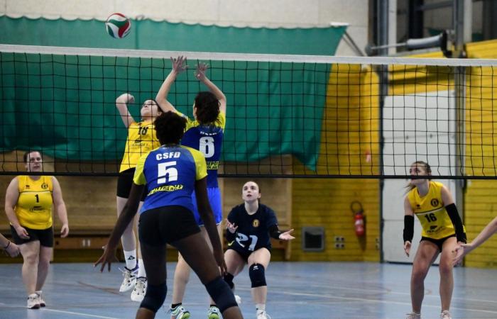 VOLLEYBALL: Only the men of Le Creusot won… The women lost everything…