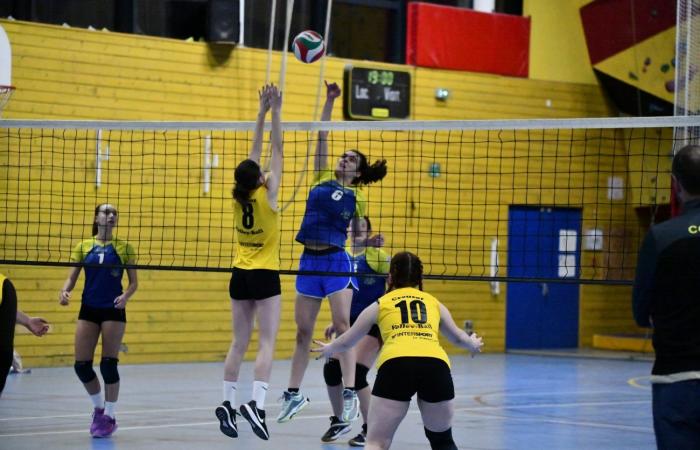 VOLLEYBALL: Only the men of Le Creusot won… The women lost everything…