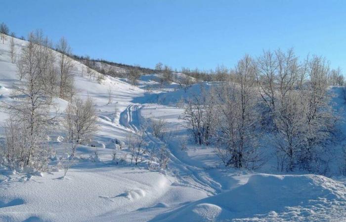 Belgian YouTuber passionate about nature dies in snowstorm in Lapland