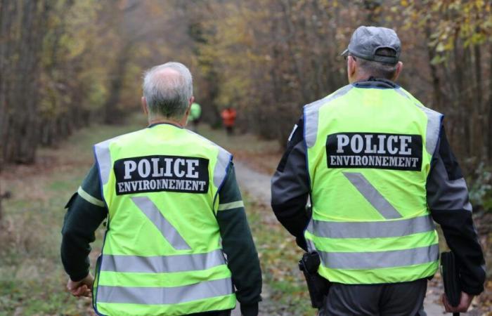 Ransacked premises, agents threatened: why is the French Biodiversity Office crystallizing the anger of farmers?