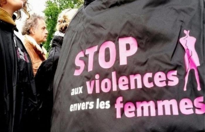 More than 1,000 incidents of domestic violence in Vendée in one year