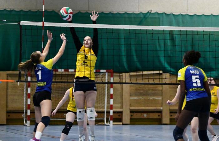 VOLLEYBALL: Only the men of Le Creusot won… The women lost everything…