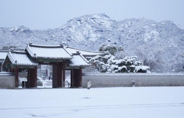 Biggest November snowstorm in half a century hits Seoul and grounds flights