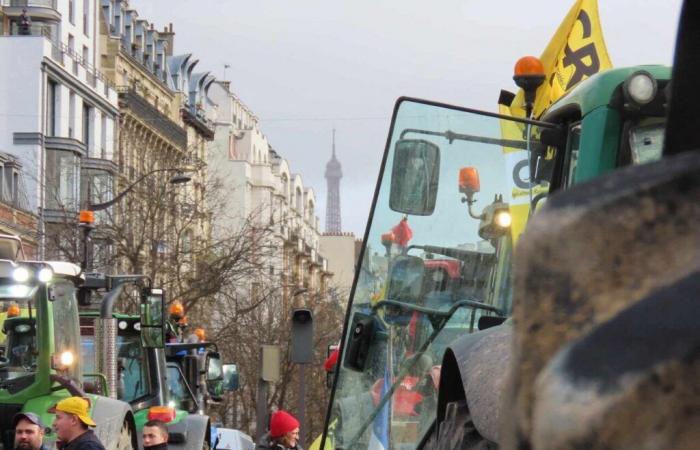 farmers erect a wall in front of INRAE ​​headquarters to denounce its inaction