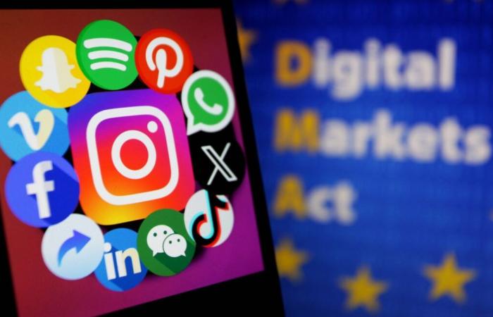 Access to social networks officially prohibited for those under sixteen years of age