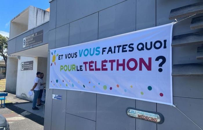 Mayotte mobilizes for Telethon 2024