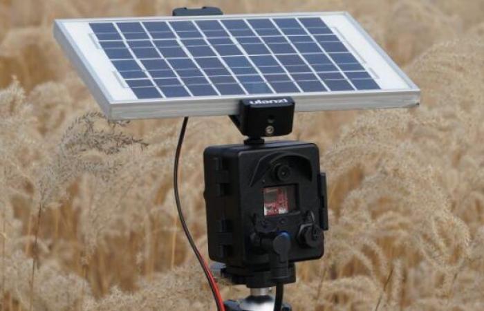 An on-board camera to preserve biodiversity