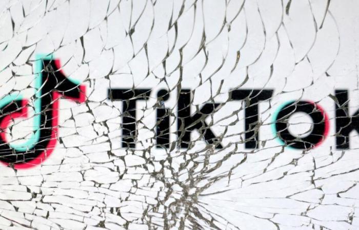 Romania calls for “emergency measures” against TikTok, accused of having been the scene of a pro-Russian electoral manipulation operation