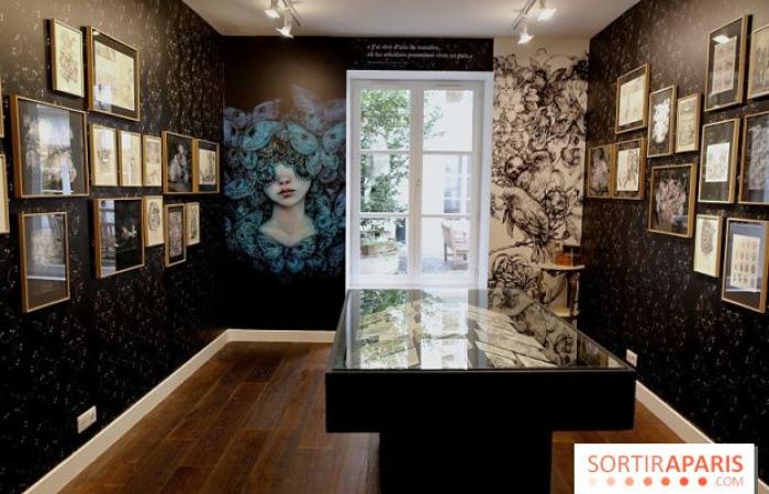 Benjamin Lacombe presents “Papillon Noir”, the free exhibition at the Galerie Gallimard, our photos