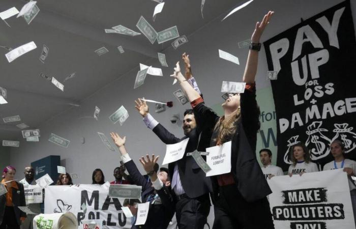 After the failure of COP29, should climate conferences be reformed?