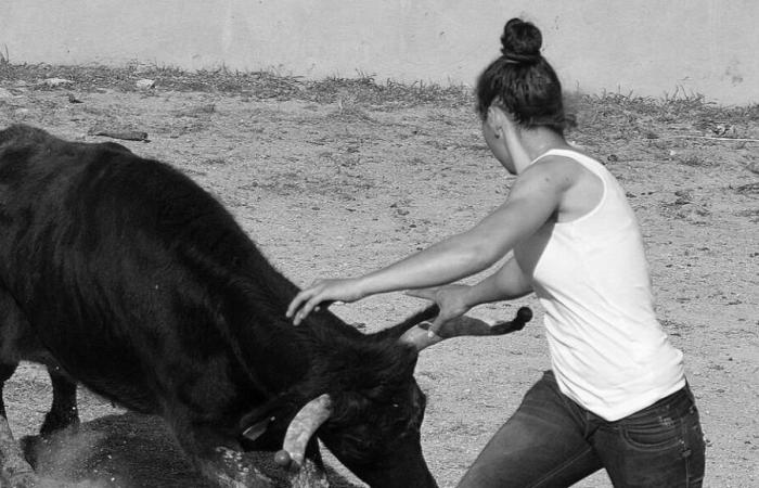 Marie Ségrétier, a Camargue native at the center of “Animale” by Émma Benestan