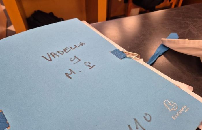 “I’m not white as snow, but I’ve never killed anyone”, the testimony of Jaoide Fadil at the trial of Marcel Vadella for murder and attempted murder