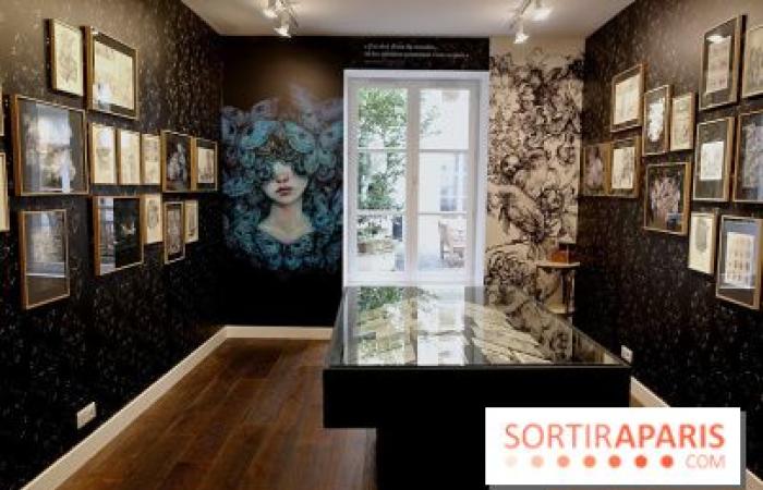 Benjamin Lacombe presents “Papillon Noir”, the free exhibition at the Galerie Gallimard, our photos