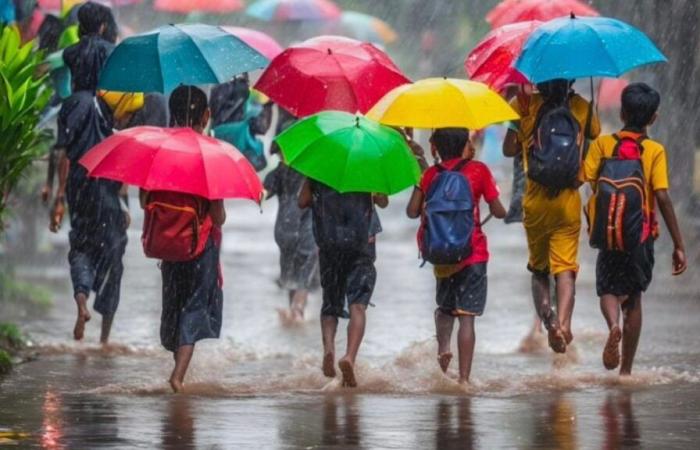 Chennai rains 2024: Schools closed, holiday declared in several districts