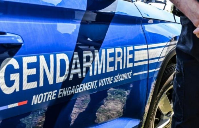 Young teenager missing in Brittany: a hunt organized on Friday: News