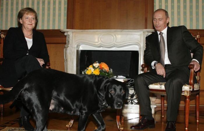 Merkel’s memoirs: Putin apologizes for dog incident