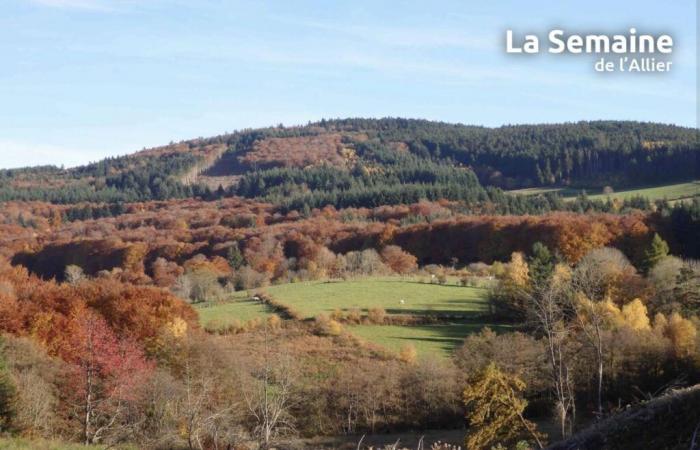 Allier (weather) – What will the weather be like on Friday November 29?