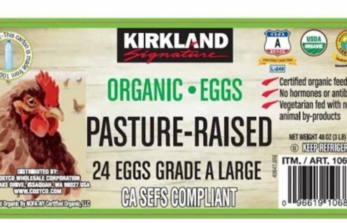 Egg cartons sold at Costco under recall due to potential salmonella risk