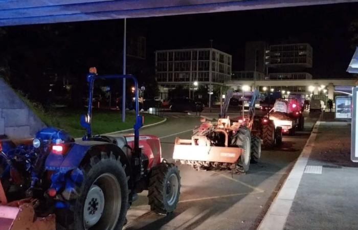 surprise mobilization of a hundred farmers in Nice