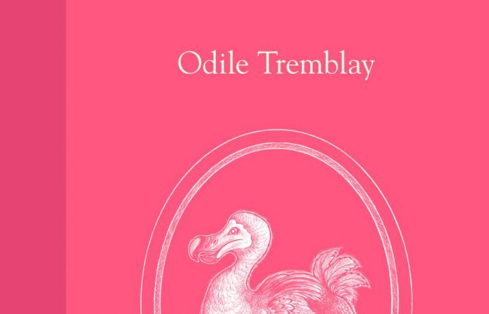 The Bestiary without lost steps | Ode to Odile