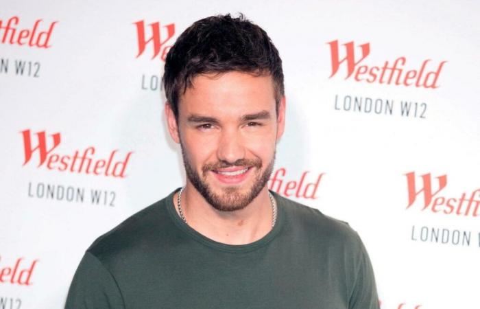 Liam Payne allegedly fell while trying to flee